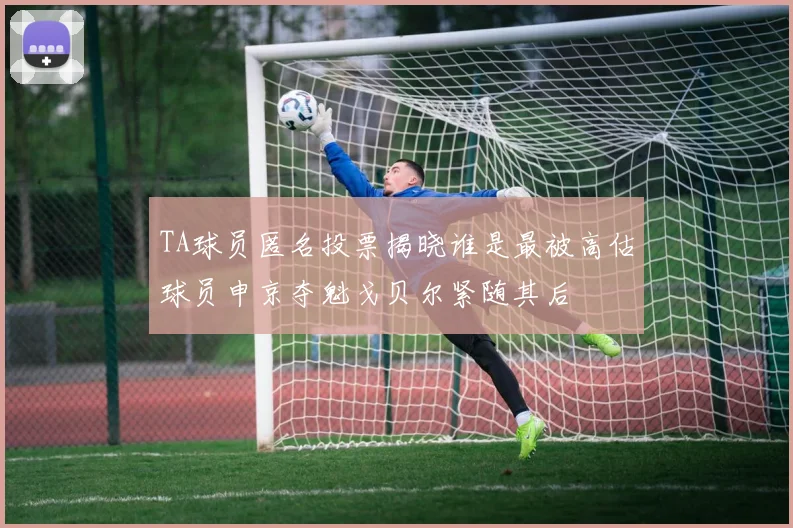 TA球员匿名投票揭晓谁是最被高估球员申京夺魁戈贝尔紧随其后