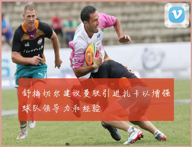 舒梅切尔建议曼联引进扎卡以增强球队领导力和经验